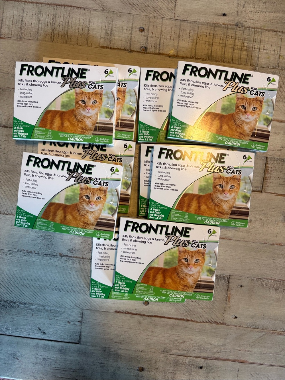 Frontline Plus for Cats, Flea & Tick Treatment – Green (6 Doses)